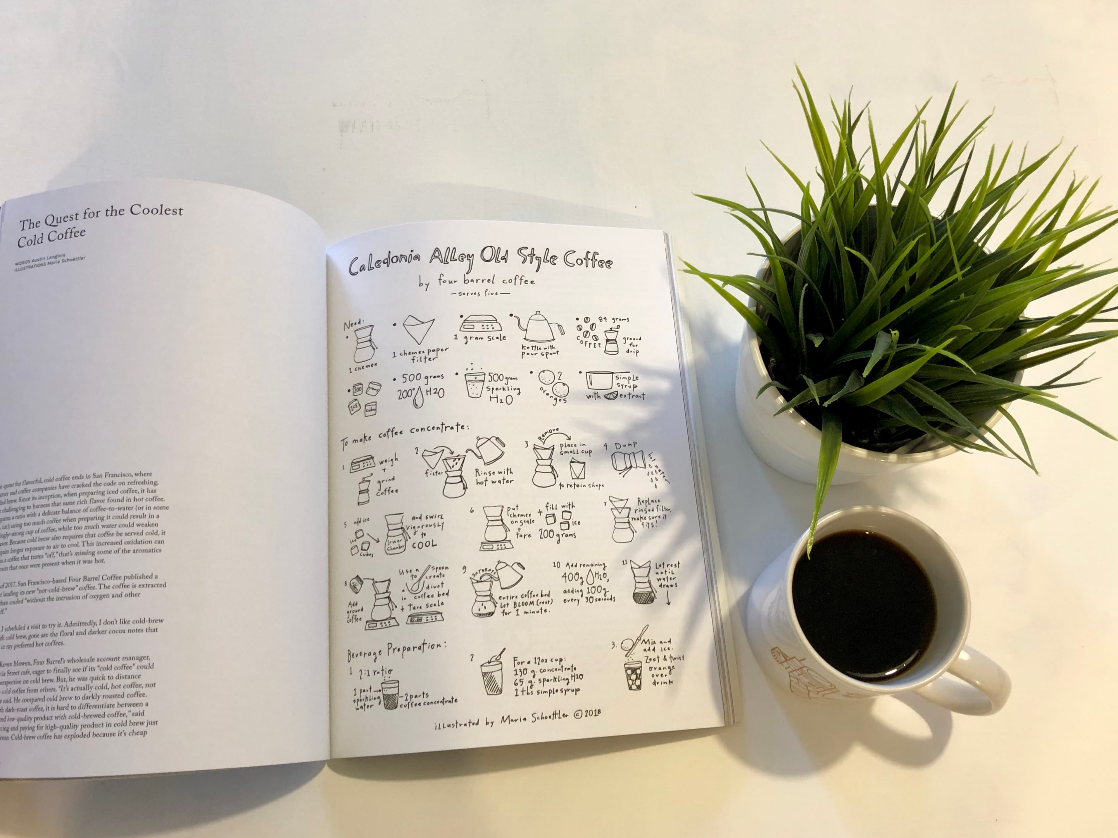 An open book next to a cup of coffee and a small plant